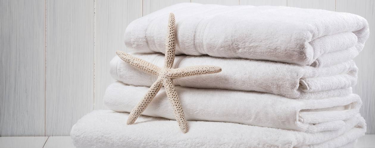 Set of clean, white towels with a coral starfish in front